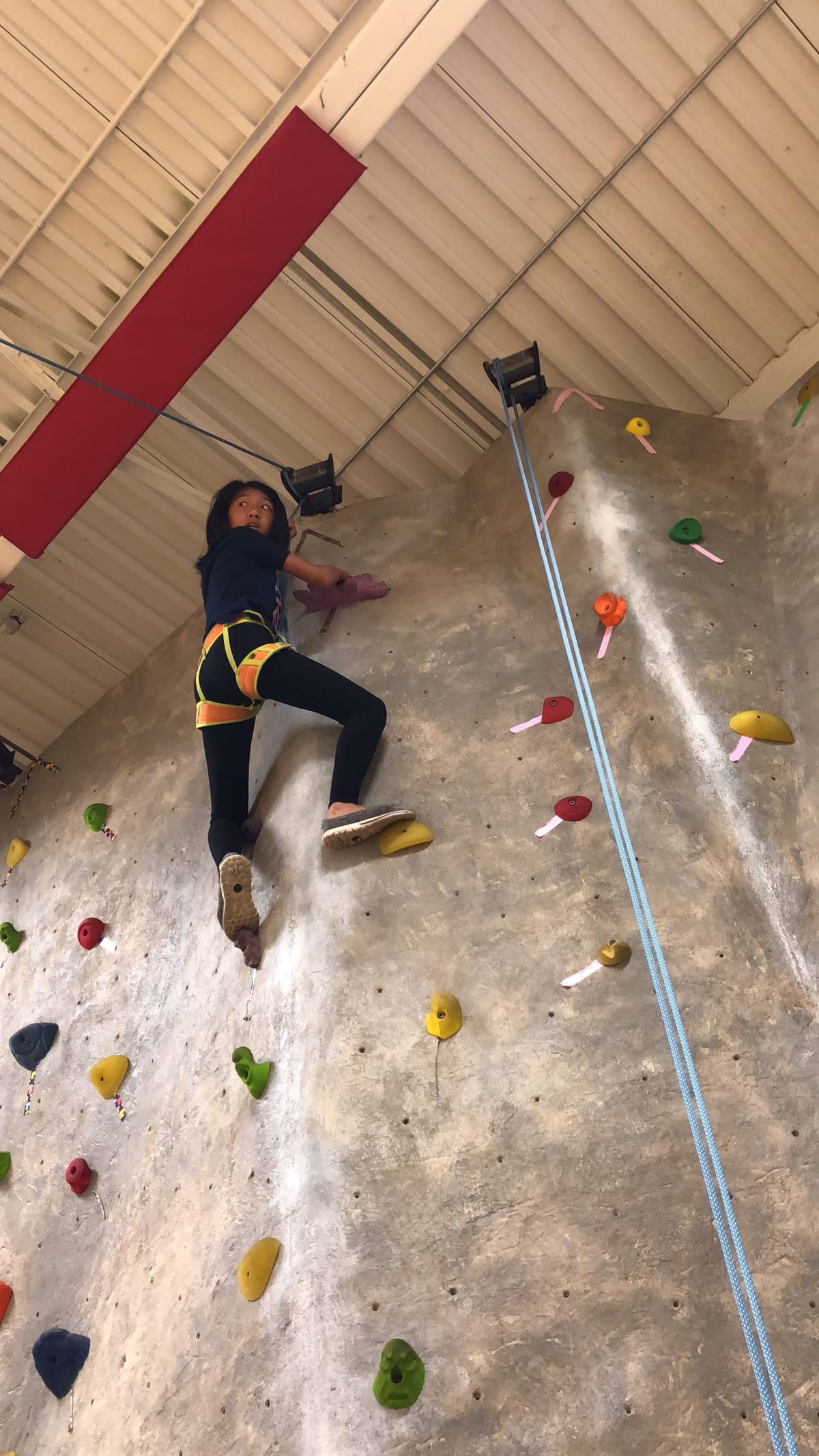 Nationalism is an infantile disease. It is the measles of mankind.