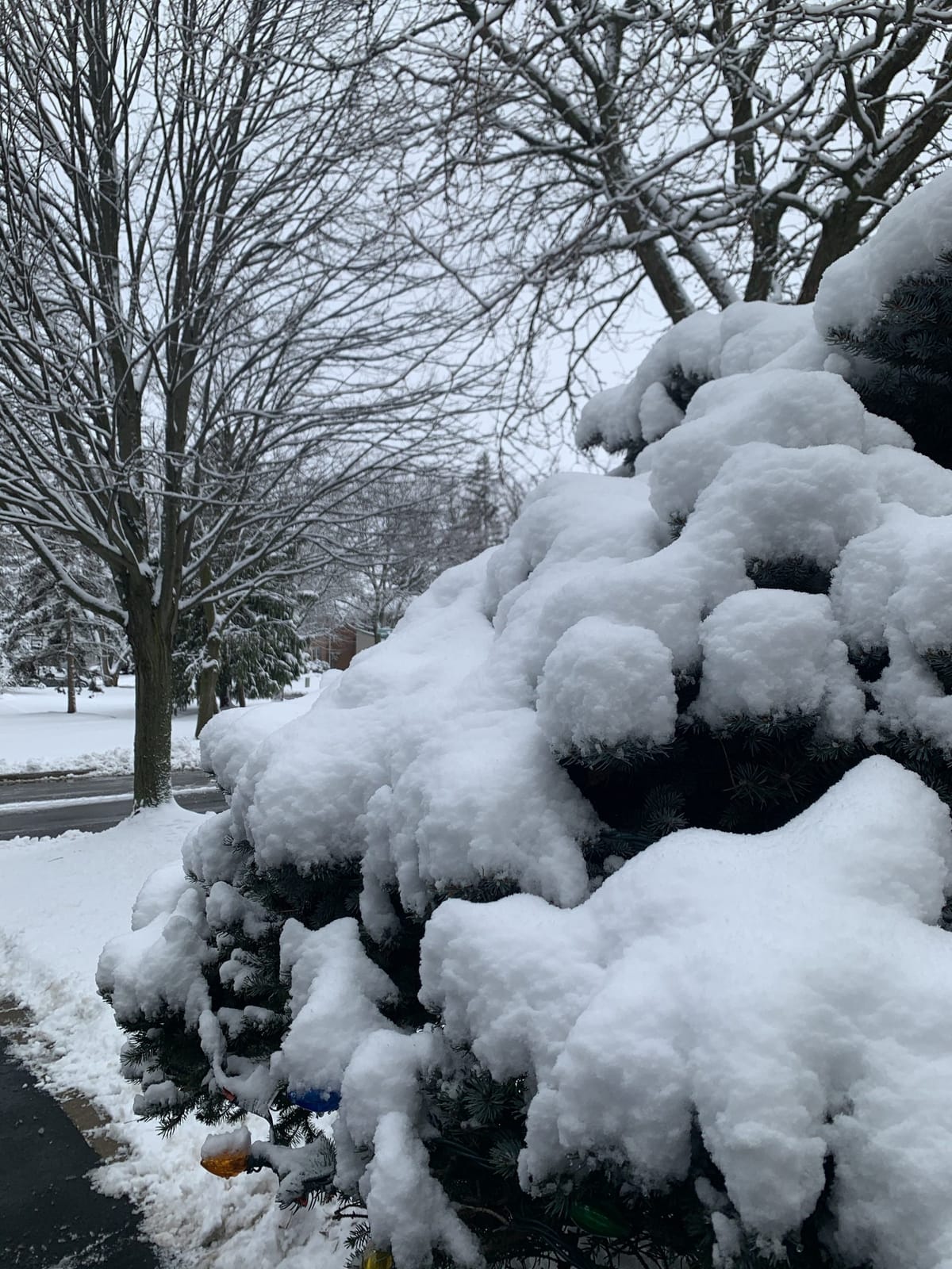 You have the pencil and paper in your hand, write your story in the new year. May your story be a year filled with positive h