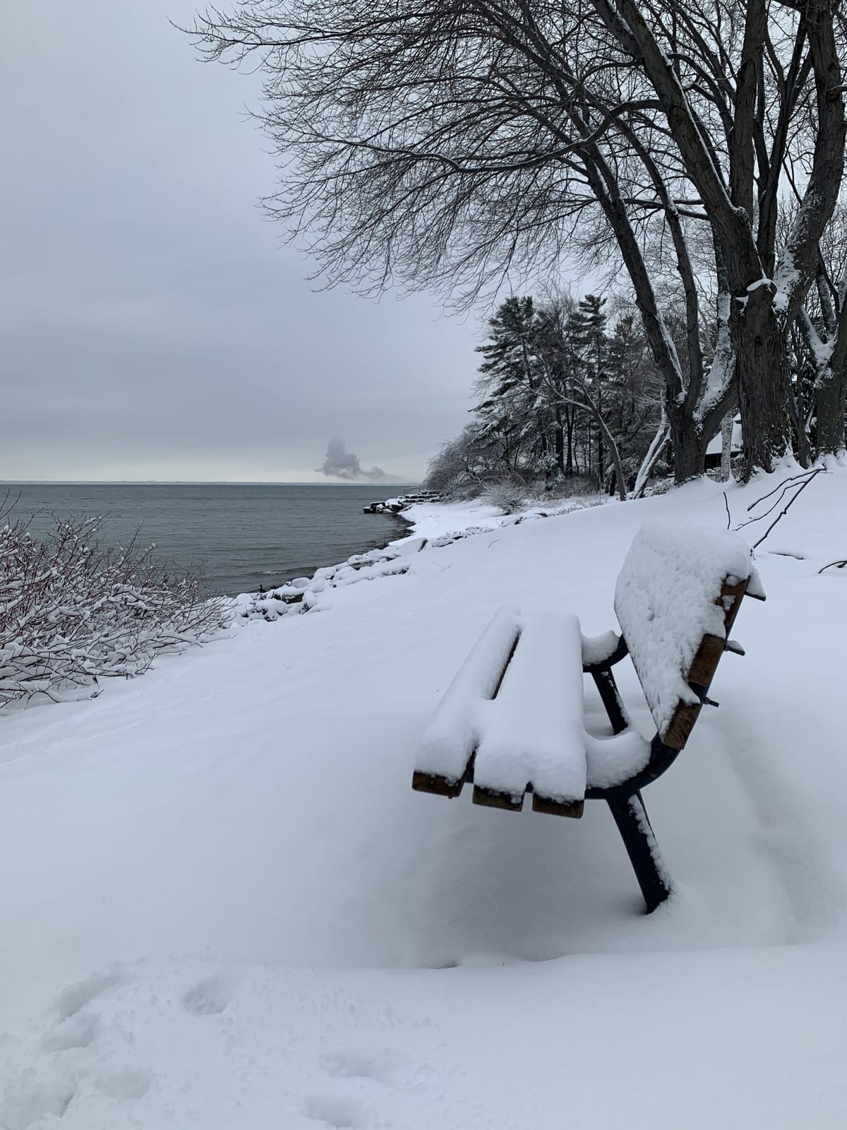 Life is like riding a bicycle. To keep your balance you must keep moving.