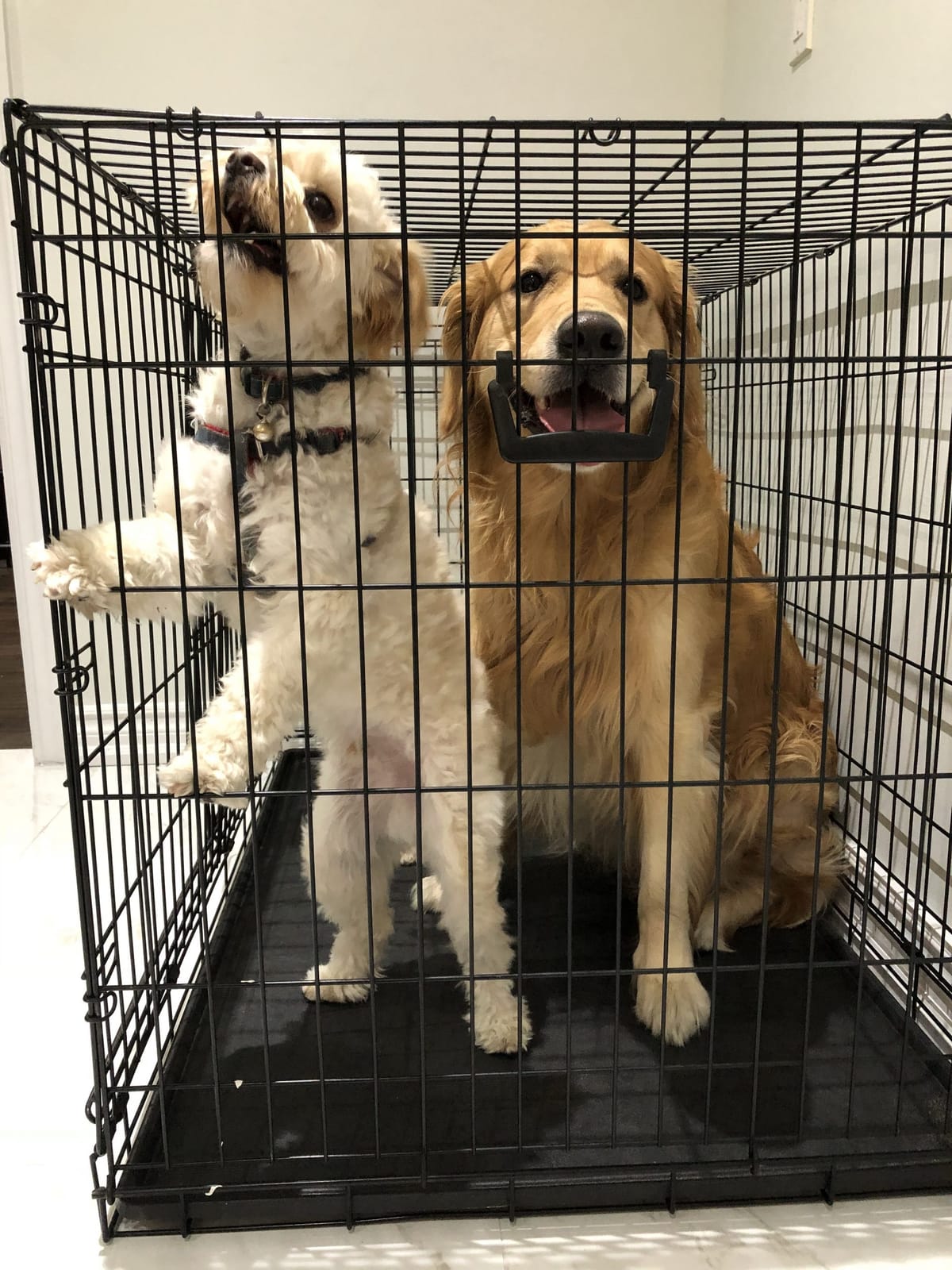 The foot prints we left on the road tell the world we have been here, wherever you go, leave nice marks!