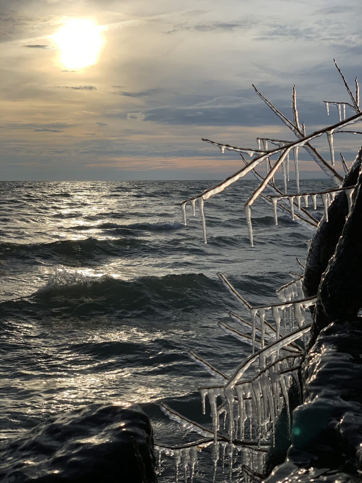 A splendid winter morning