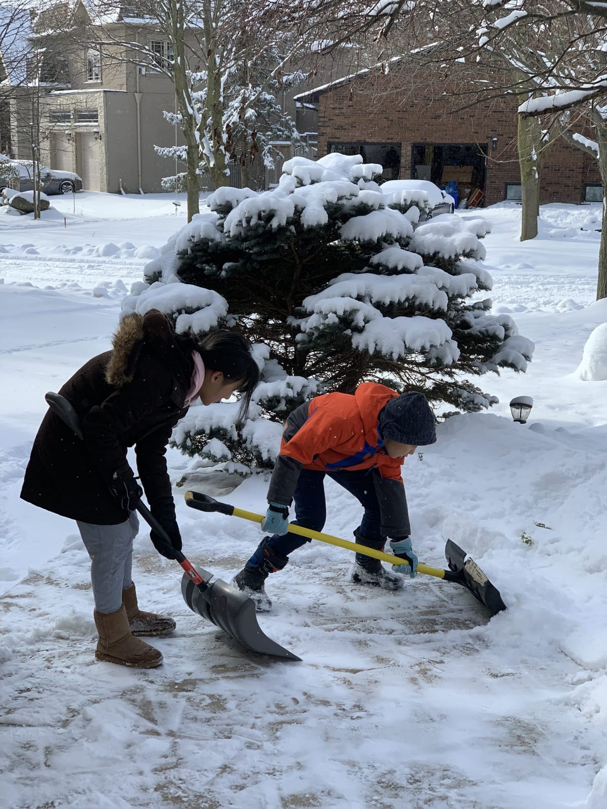 The Pessimist Sees Difficulty In Every Opportunity. The Optimist Sees Opportunity In Every Difficulty.