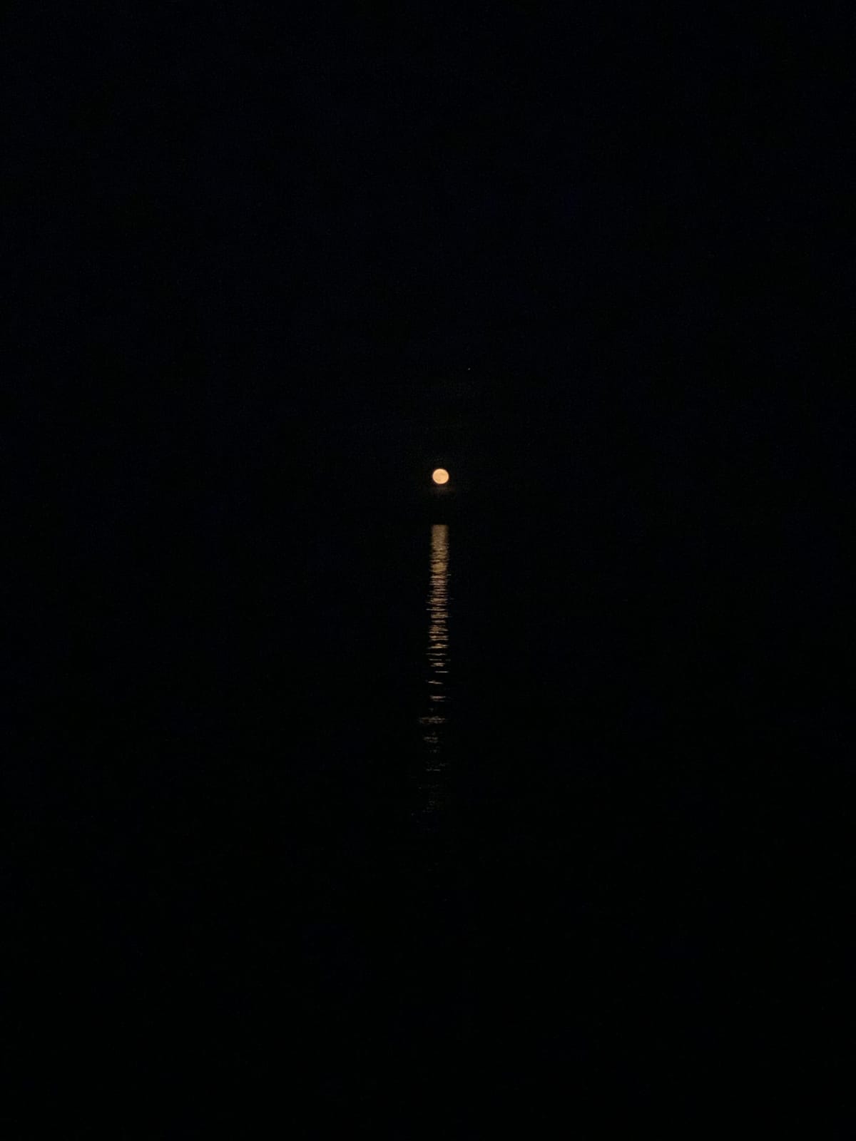 The only way to do great work is to love what you do. If you haven’t found it yet, keep looking. Don’t settle.