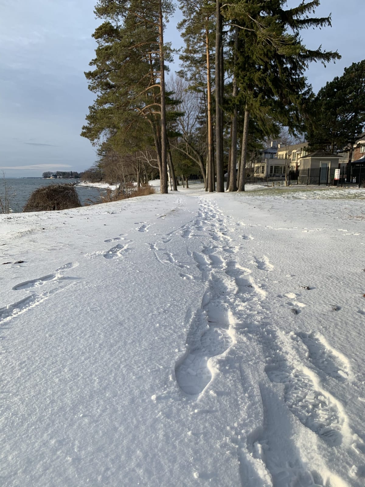 Never regret a day in your life. Good days give happiness, bad days give experiences, worst days give lessons, and best days 