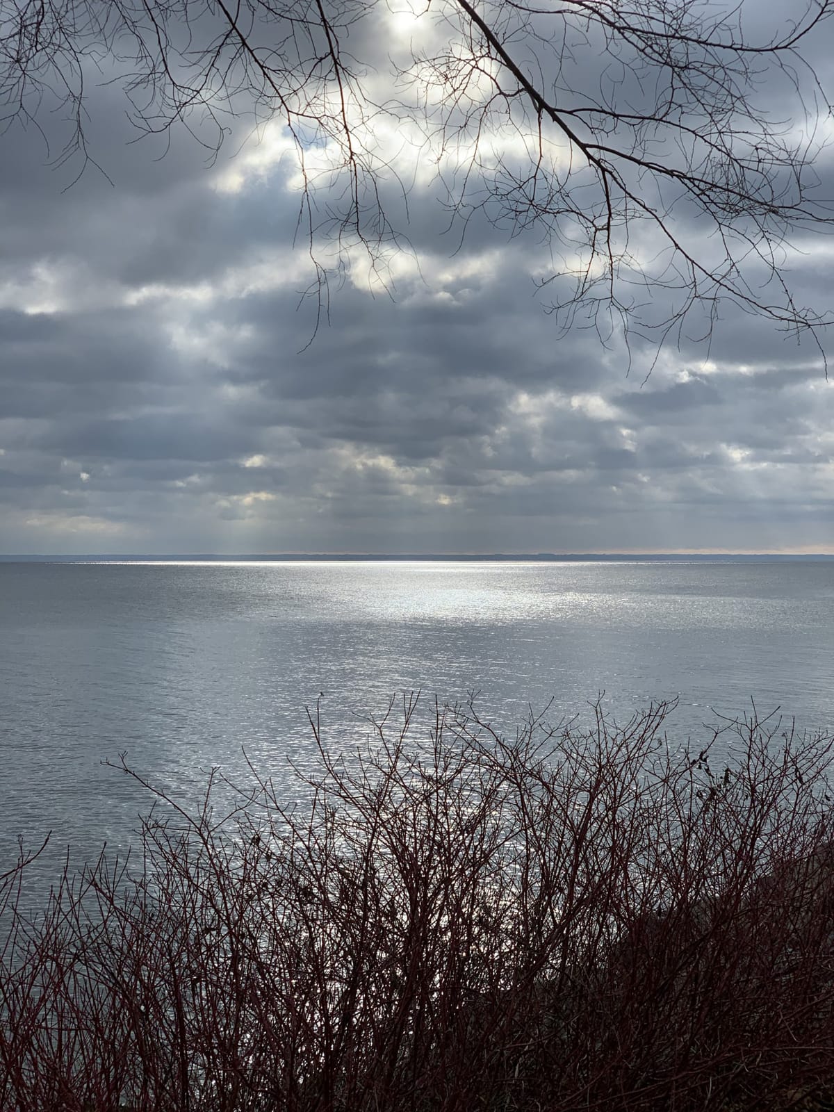 The Pessimist Sees Difficulty In Every Opportunity. The Optimist Sees Opportunity In Every Difficulty.