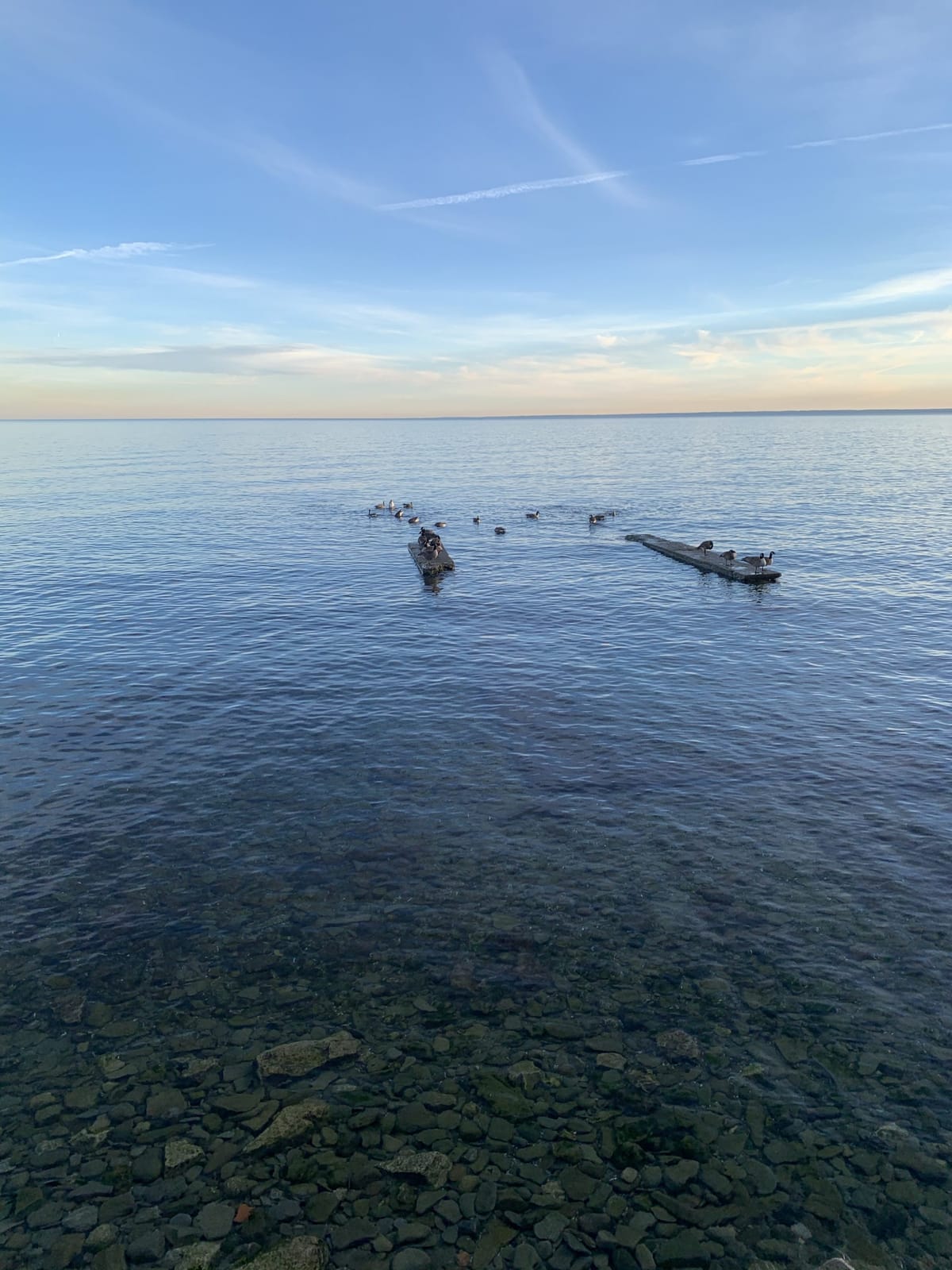 Morning at the lake front