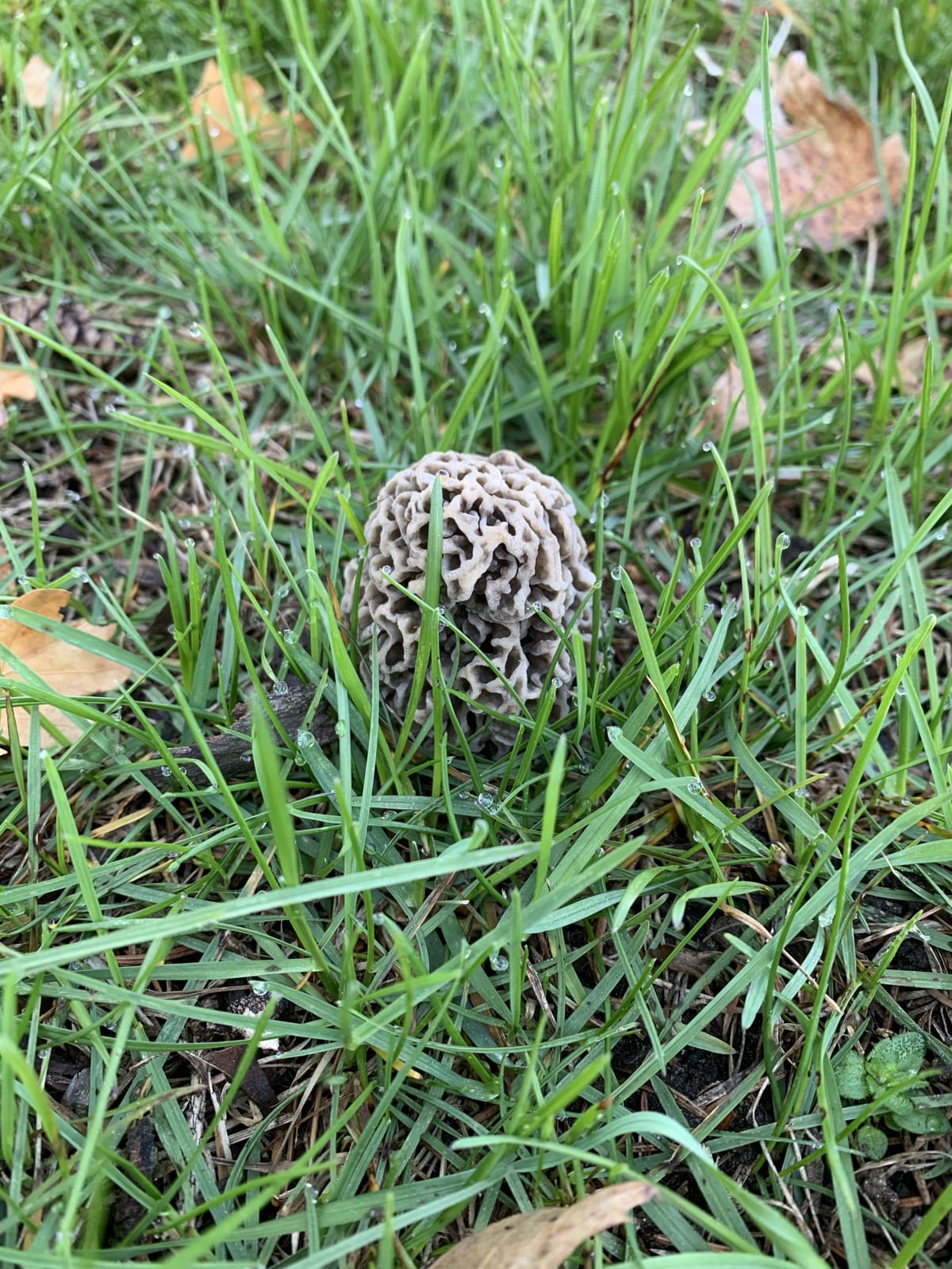 Biggest Blizzard in 20 years