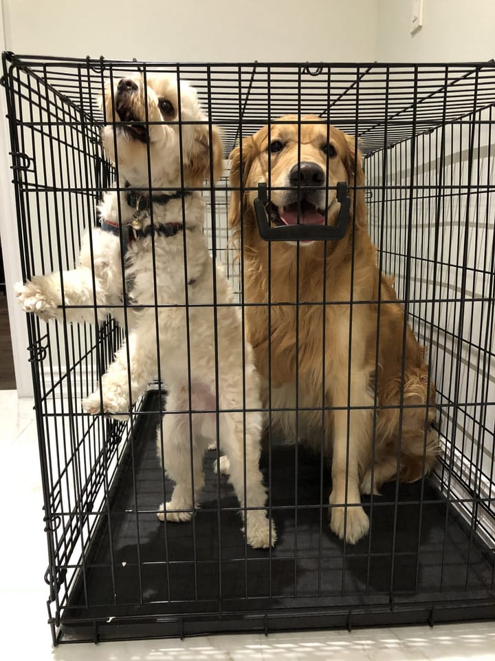 The foot prints we left on the road tell the world we have been here, wherever you go, leave nice marks!