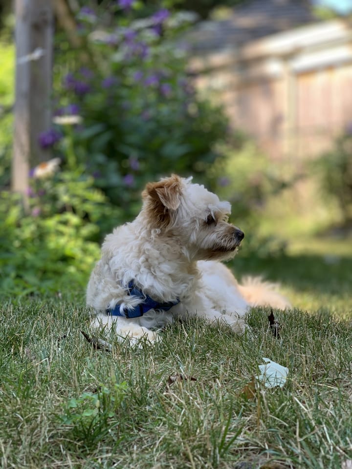 Let the Winter Begin