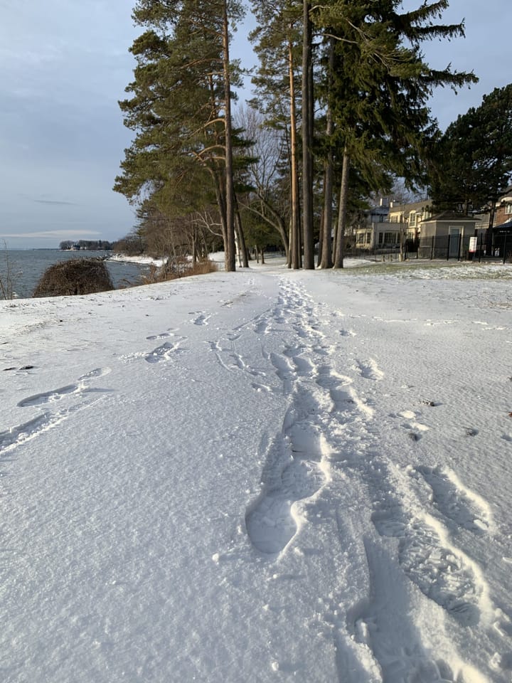 Never regret a day in your life. Good days give happiness, bad days give experiences, worst days give lessons, and best days 