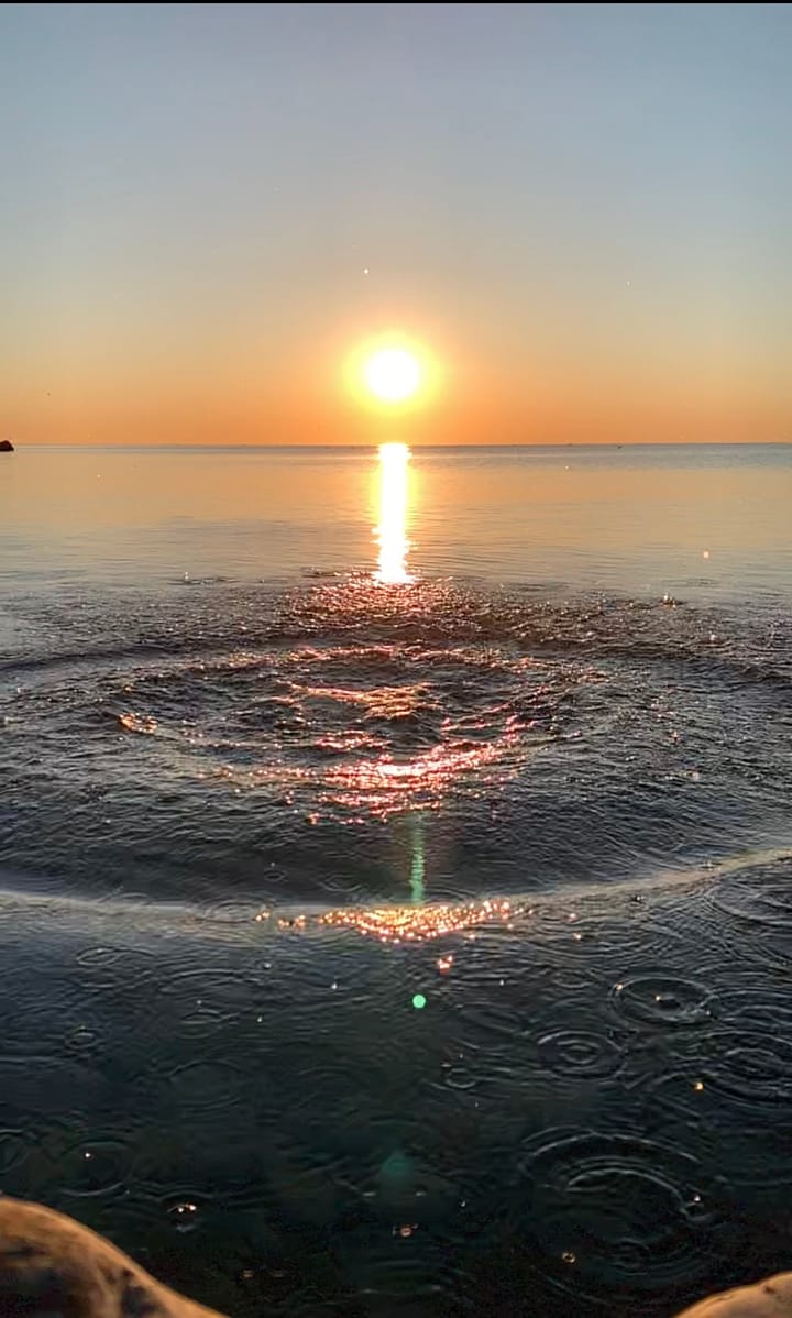 Eat, Play, Love during pandemic lockdown