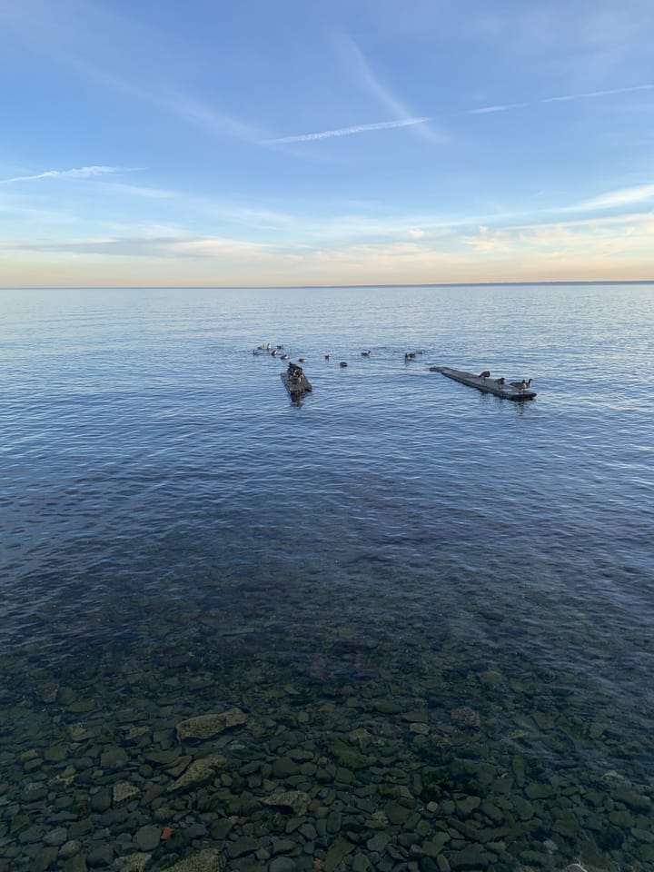 Morning at the lake front
