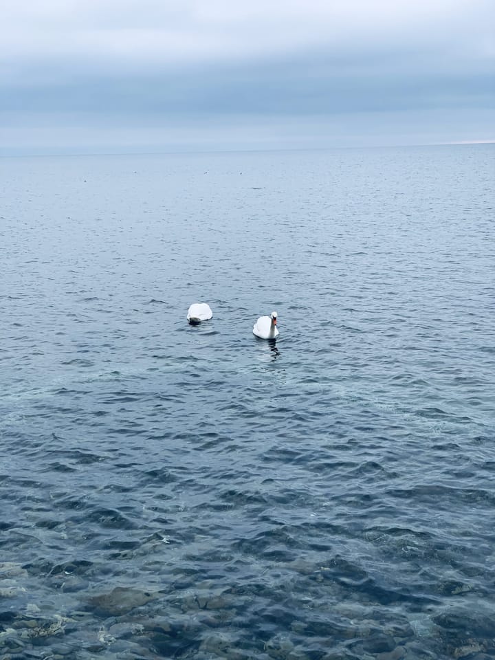 It’s not who you are underneath, it’s what you do that defines you.