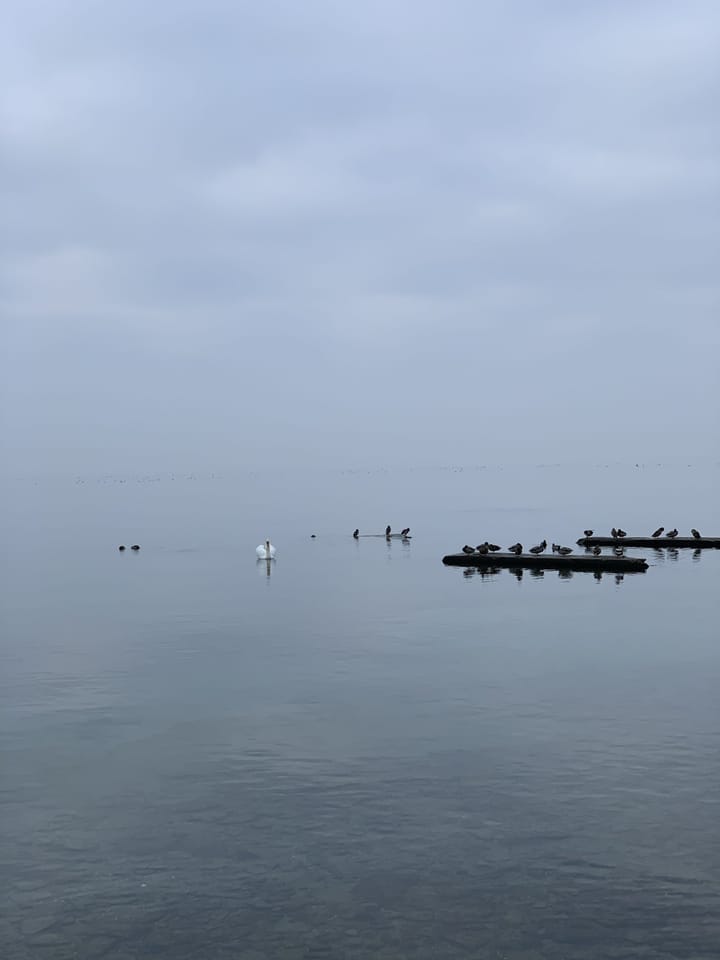 Just as ripples spread out when a single pebble is dropped into water, the actions of individuals can have far-reaching effec