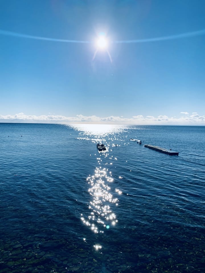 Eat, Play, Love during pandemic lockdown